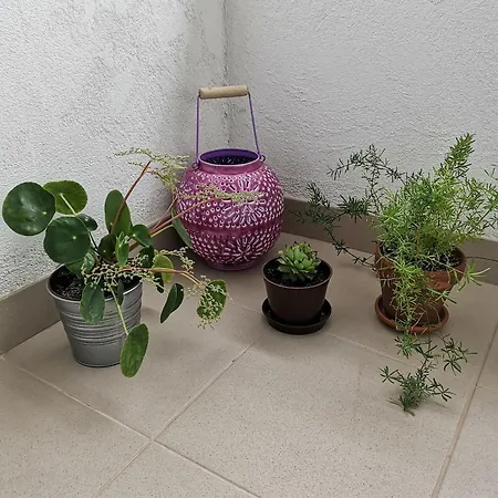 Dolores アパート